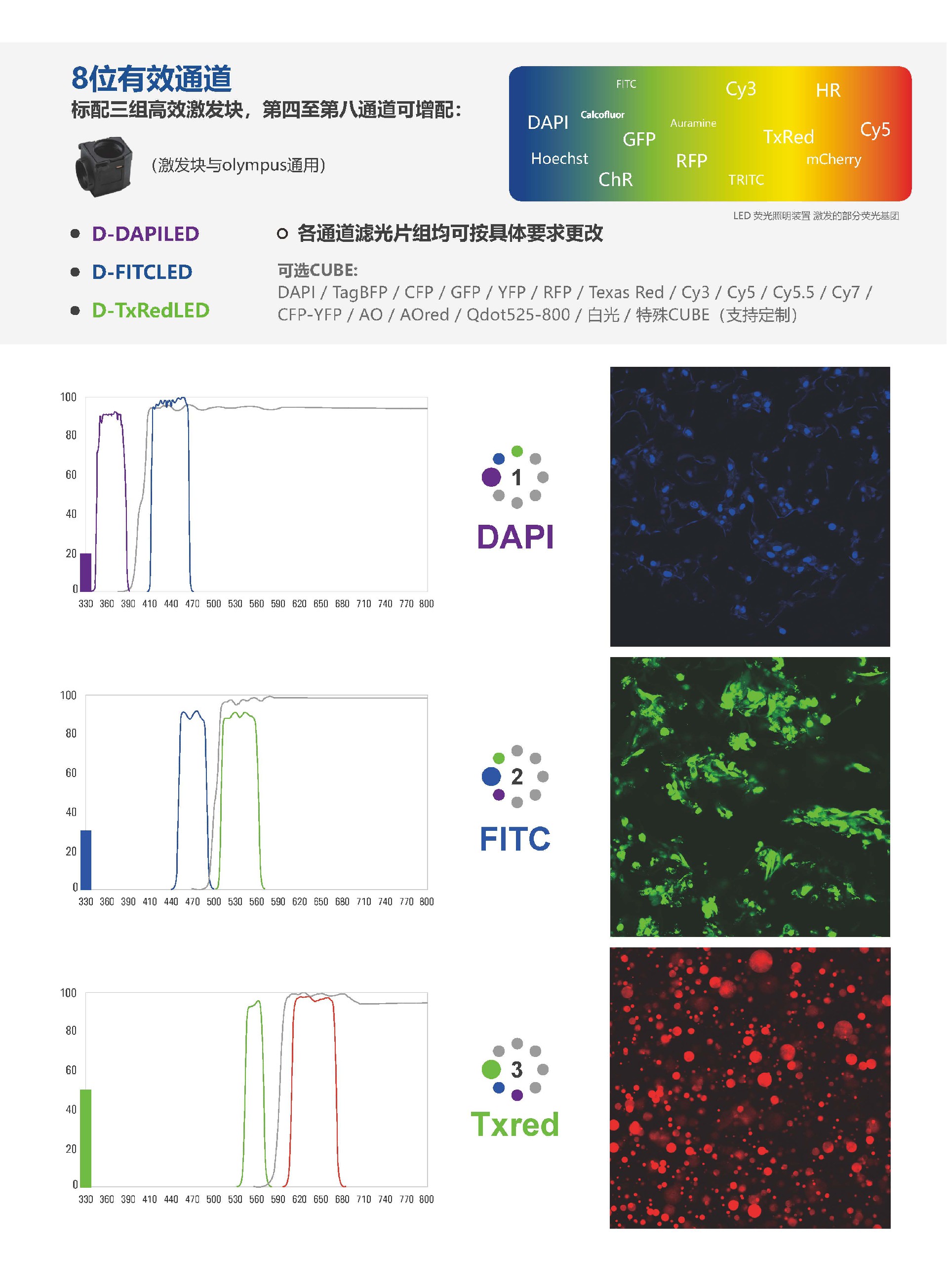 C-LEDRFAA8 正置8位电动荧光模块_页面_3.jpg